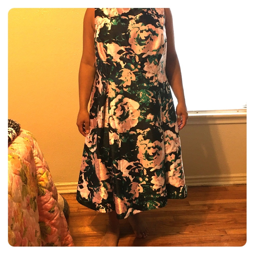Beautiful Adrianna Papell 24w taffeta cocktail